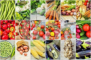 Collage of different vegetables. Vegetarian food.