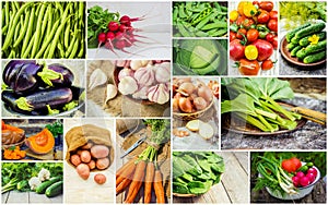 Collage of different vegetables. Vegetarian food.