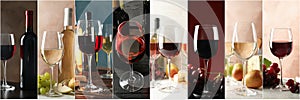 Collage different wines on different backgrounds