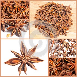 Collage with Dried star anise spice fruits top view.