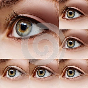 Collage of female eyes with makeup steps.