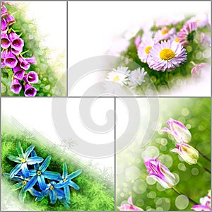 Collage floral flowers banner background tulip daisy spring