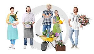 Collage of florists with plants on background