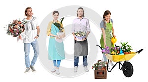 Collage of florists with plants on background