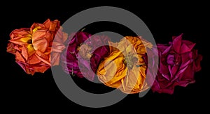 Collage of four surrealistic vintage dark red yellow orange rose blossoms