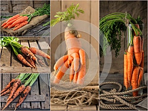 Collage with fresh carrot on rustic wooden background.