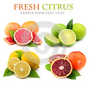 Collage of fresh citrus