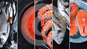 Collage of Fresh fish and seafood