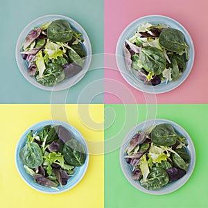 Collage of fresh mixed green salad in round plate, colorful background. Healthy food, diet concept. Top view, square image