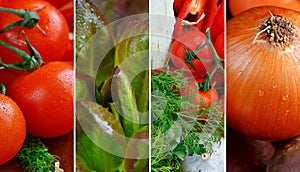 Collage of fresh, raw vegetables and herbs
