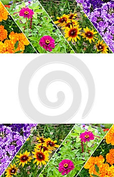 Collage of garden flowers . Vertical photo. Beautiful frame with free space for text
