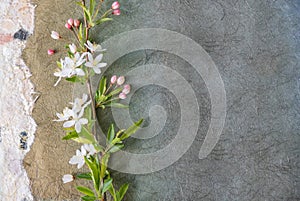 Collage of handmade papers with a branch of apple blossoms