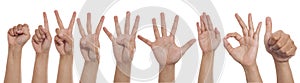 Collage of hands showing different gestures, number hand finger signs set