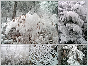 Collage hoarfrost in quaint shapes