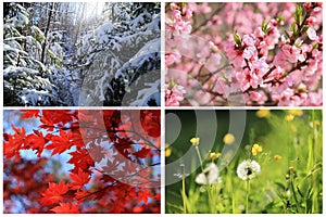 Collage images of four seasons