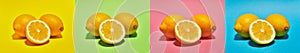 Collage with Lemon on four different background such us: yellow, green, pink and blue collors . Food concept photo