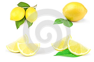 Collage of lemons isolated on a white background