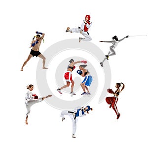 Collage made of portraits of male and female sportsmen. MMA fighter, boxers, and taekwondo fighters, swordsman or fencer