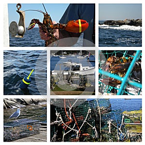 Collage Of Maine