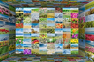 The collage of many nature photos