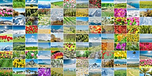 The collage of many nature photos