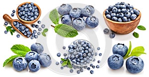 Collage mix set of ripe blue wildberry berries