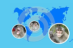 Collage with monkeys, studying zoonotic contagious viral disease monkeypox, concept research pox virus on world map, medical