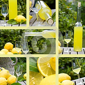 Collage with motifs of limoncello photo