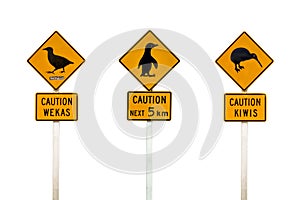 Collage of New Zealand penguin, weka and kiwis road sign