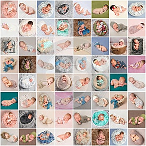 Collage of newborn babies photos