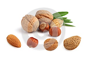 Collage of nuts on a white background