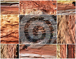 Collage of old pear wood background