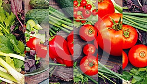 Collage of organic vegetarian food on wooden table