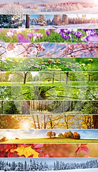 Collage of the panoramic photos of the twelve months of the year.