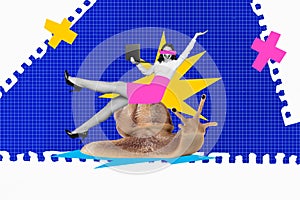 Collage photo of funny woman worker with netbook laptop computer slow speed sitting sliding mollusk isolated on plaid