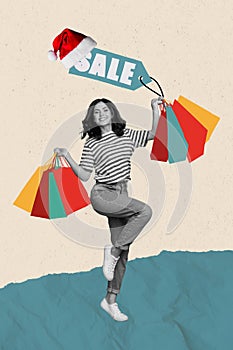 Collage photo of youngster positive satisfied woman hold stack packages pricetag big christmas sale ad isolated on beige