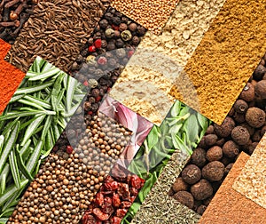 Collage with photos of different spices and herbs, top view