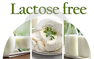 Collage with photos of lactose free dairy products on white background