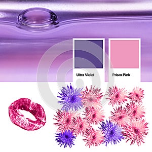 Collage of photos trendy color of the year 2018 ultra violet, kindred spirits with Prism Pink. Floral pattern blossom flowers, pri