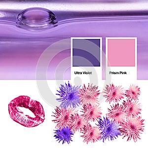 Collage of photos trendy color of the year 2018 ultra violet, kindred spirits with Prism Pink. Floral pattern blossom flowers, pri photo