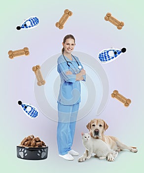 Collage with photos of veterinarian doc, pets, food and toys on color background