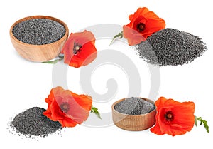 Collage with poppy seeds on background