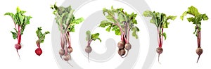 Collage with ripe beetroots on white background