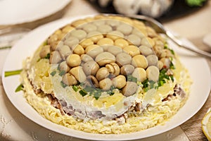 Collage salad Mushroom glade salad with champignon and green onion