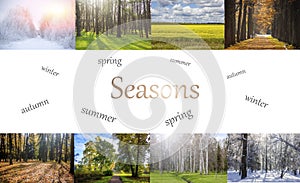 Collage seasons . All season. Seasons in one photo. Winter spring summer autumn. Tree branch. Grass with dew. Nature