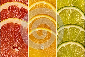 Collage from a set of citrus fresh fruits. Top view