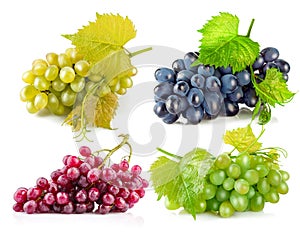 Collage set Cluster fresh grapes ripe fruit Isolated on white