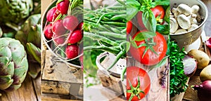 Collage set fresh organic vegetables herbs. Ripe tomatoes, radish, green beans, artichokes, mushrooms, potatoes, parsley, garlic.