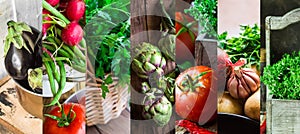 Collage set fresh organic vegetables herbs. Ripe tomatoes, radish, green beans, artichokes, thyme, parsley, egglants.