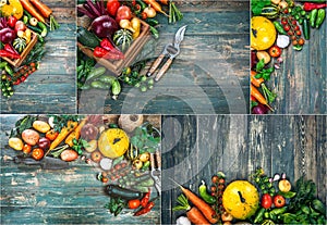 Collage set Harvest fresh vegetables on old wooden board top